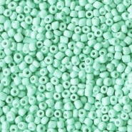 Seed beads 11/0 (2mm) Mint turquoise